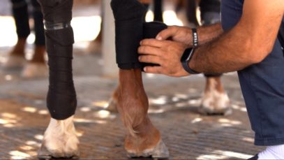 Dubai Gold cup 2024 – Highlights Semi