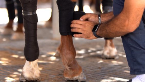 Dubai Gold cup 2024 – Highlights Semi