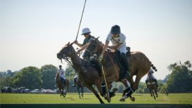 Captura de Pantalla 2024-06-27 a la(s) 17.46.23