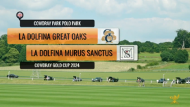 Captura de pantalla 2024-06-25 182414