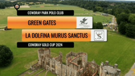 Captura de pantalla 2024-06-28 183901