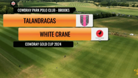 Captura de pantalla 2024-06-29 174952