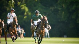 _MB9173226-06-24FParkWCrane (1) (1)