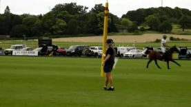 British Open 2024 – Green Gates vs La Dolfina Murus Sanctus – Highlight