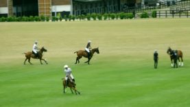 British Open 2024 – King Power vs Black Bears – Highlight