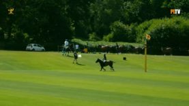 British Open 2024 – Marques De Riscal vs Bangash Polo – Highlight