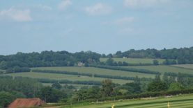 Final Dollar Cup 2024 – White Crane Black vs Maiz Dulce