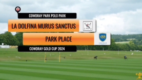 Captura de pantalla 2024-07-02 184233