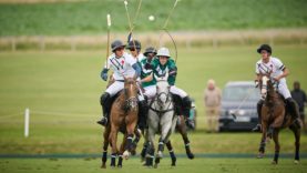 _MB9674503-07-24DPalmWCrane