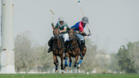 WhatsApp Image 2025-02-03 at 13.05.05