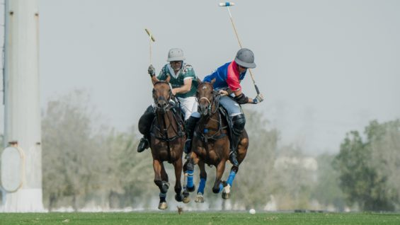 WhatsApp Image 2025-02-03 at 13.05.05