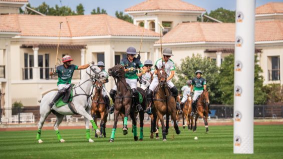 WhatsApp Image 2025-02-16 at 18.33.19