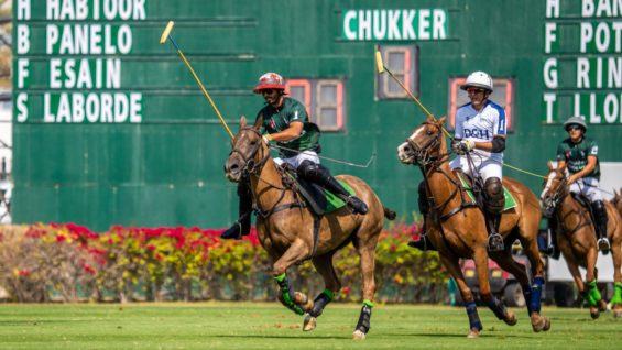 WhatsApp Image 2025-02-22 at 22.02.30