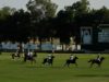 Emirates Polo Championship Semifinal 2025 – Ghantoot Polo vs Bin Drai – Highlights