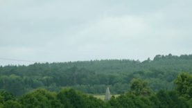 British Open 2024 – Desert Palm vs White Crane