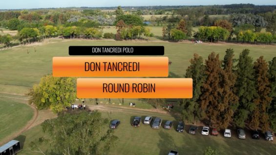 Don Tancredi Round Robin