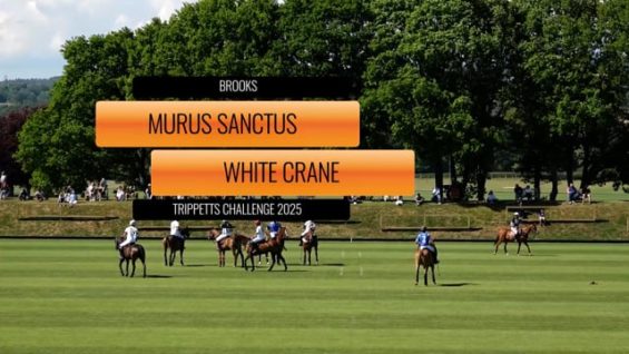 Trippetts Challenge 2025 – LD Murus Sanctus vs White Crane