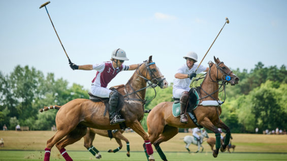 MB8_6401-Jun 30 2025 -KazakFerne-2