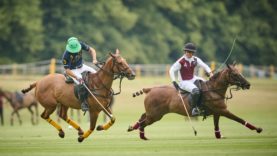 _MB94647-Jun 26 2025 -KazakvTigers