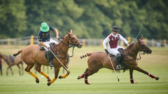 _MB94647-Jun 26 2025 -KazakvTigers