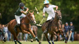 _MB95140-26-06-25FerneRiscal