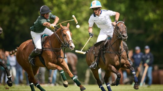 _MB95140-26-06-25FerneRiscal