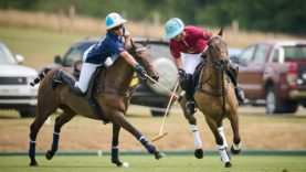 _MB96647-29-06-25DolfinaRiscalValhalla