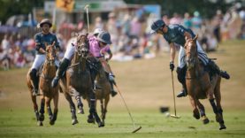 _MB96947-29-06-25DolfinaSconev Calatagan