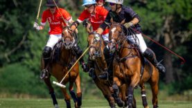 WhatsApp Image 2025-06-12 at 20.34.02