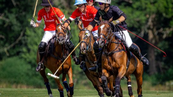 WhatsApp Image 2025-06-12 at 20.34.02