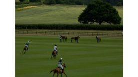 British Open 2025 – Uae Polo vs Jehangiri – Highlights