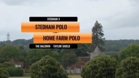 The Baldwin Taylor Shield – Stedham Polo vs Home Farm Polo