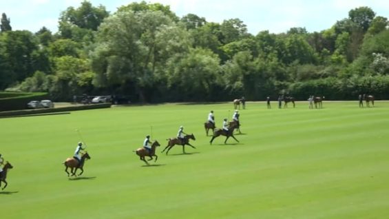 British Open 2025 – Dubai vs Calatagan – Highlights