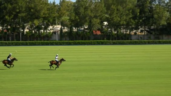 Copa de Bronce 2025 Alto – Black Bears vs Calatagan – Highlights