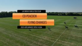 2025 USPA Midwest Open 14 Goal – CD Peacock vs Flying Changes