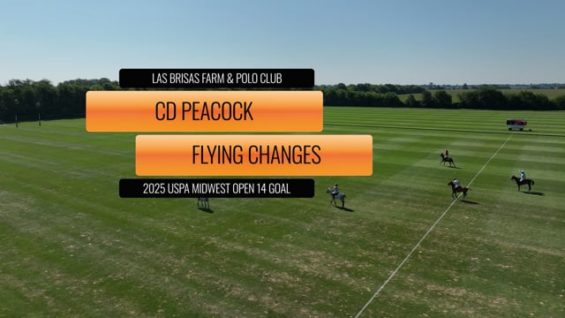 2025 USPA Midwest Open 14 Goal – CD Peacock vs Flying Changes
