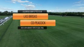 2025 USPA Midwest Open 14 Goal Final – Las Brisas v CD Peacock