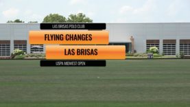 2025 USPA MIDWEST OPEN 14 GOAL – Passion For Polo vs CD Peacock