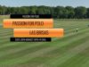 2025 USPA MIDWEST OPEN 14 GOAL – PASSION FOR POLO VS LAS BRISAS – V01