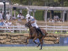 Pablo Pieres – BLACK BEARS vs. CALATAGAN – Photo Credit MATIAS CALLEJO