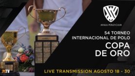 Copa de Oro 2025 – Alto – Amanara vs Calatagan