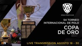 Copa de Oro 2025 – Alto – Amanara vs Dos Lunas
