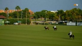 Copa de Oro 2025 Alto – Black Bears vs MB Polo Team – Highlights