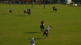 Copa de Oro 2025 Alto – La Dolfina Marques de Riscal vs Whizmo – Highlights