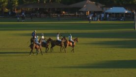 Copa de Oro 2025 – Mediano – Electric Polo vs Muda IZ Polo – Hughlights