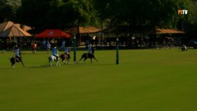 Copa de Oro Alto 2025 – Amanara vs Whizmo – Highlights