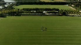 Copa de Plata 2025 – Alto – Amanara vs Whizmo