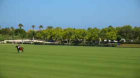 Copa de Plata 2025 – Alto – Black Bears vs Calatagan