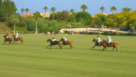 Copa de Plata 2025 Alto – Les Lions Sainte Mesme vs La Dolfina Marques de Riscal – highlights.