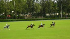 Copa de Plata 2025 Alto – Whizmo vs Les Lions Sainte Mesme – Highlights